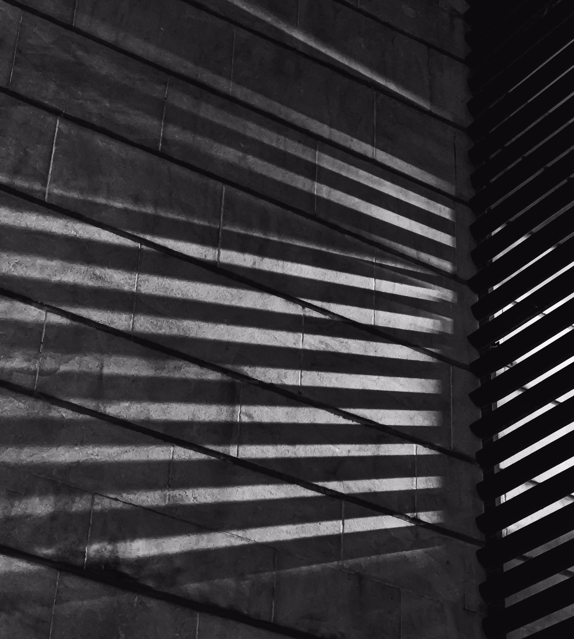 High-contrast window blinds